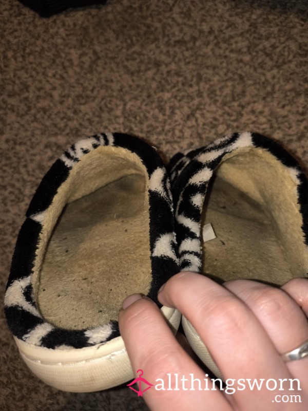 1 Year Old Worn House Slippers