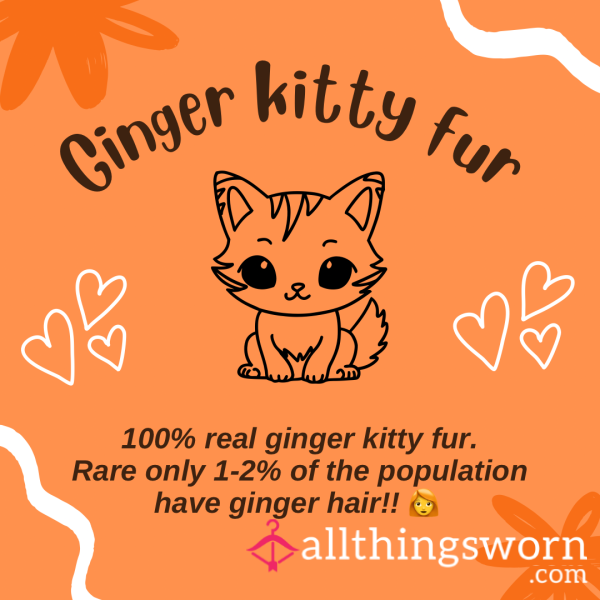 Pubes 100% Ginger Kitty Fur!! Rare Bright Orange 🍊, Plus Harvesting Video.