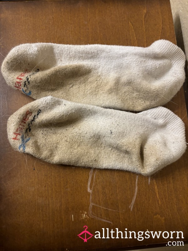 24 Hour Worn White Hanes Ankle Socks