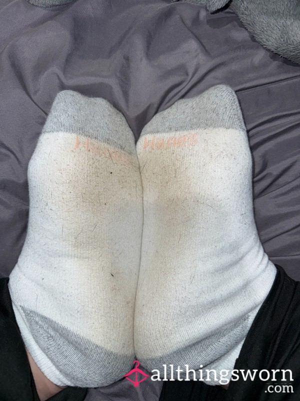 Dirty Used Socks