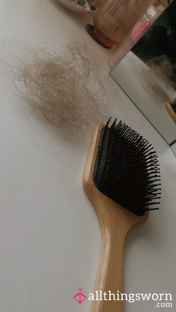 2year Old Hairbrush’s