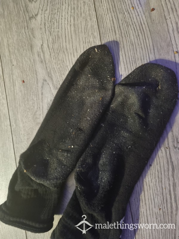 3 Day Worn Socks