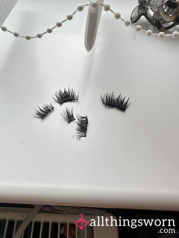 3 Week Old Cluster Lashes