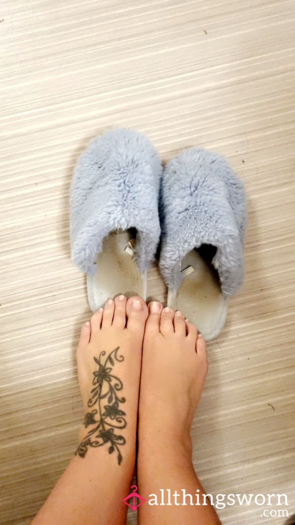 My Favourite Slippers I've Worn Everyday For 6 Months😍😍 They're Sweaty And Dirty And Will Come With A Free Custom Video!!