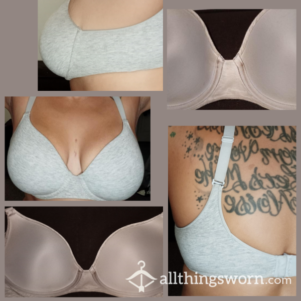 36DD Unwashed Gray Bra