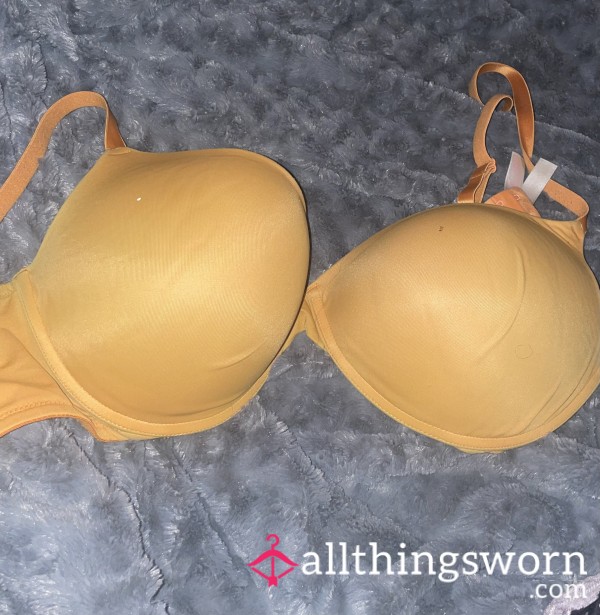 38DD Well-Worn Victoria Secret Push Up Bra