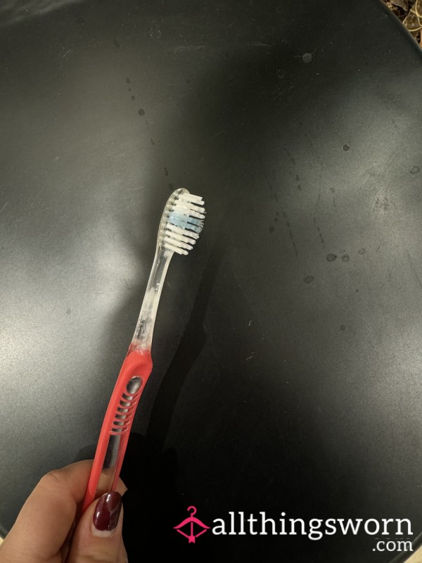 4 Month Old Toothbrush