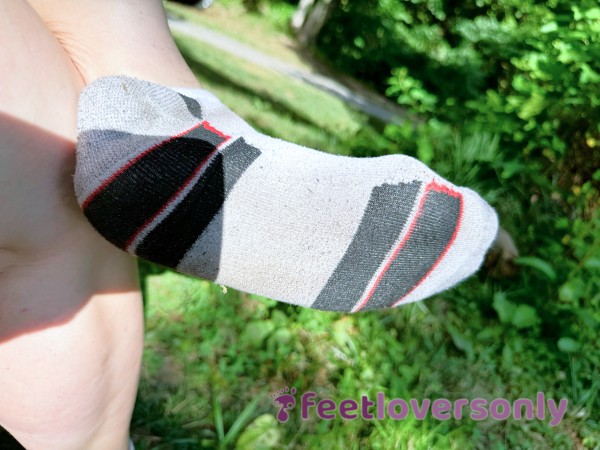 5 Day Wear Hiking Socks