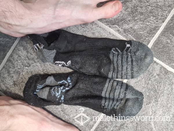 7 Day Worn Socks Exta Stinking