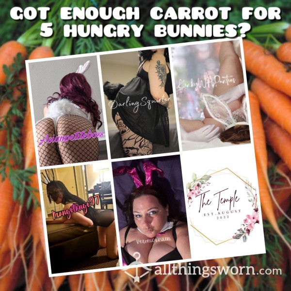 🐇 5 S**y Bunnies&25 Photos, Easy Download In This Interactive Experience 🐇