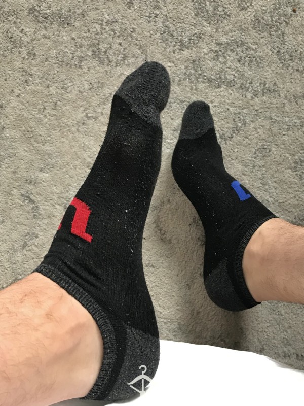 6 Day Black Ankle Socks