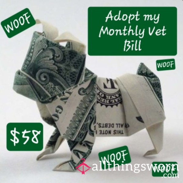 Adopt My Monthly Vet Bill