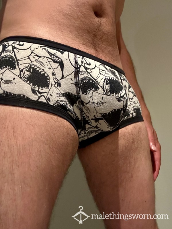 Aussieb*m Shark Trunk