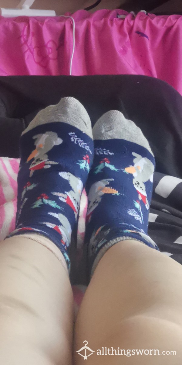 Australian Koala  Socks