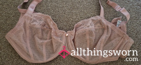 Baby Pink Lace Bra 36G