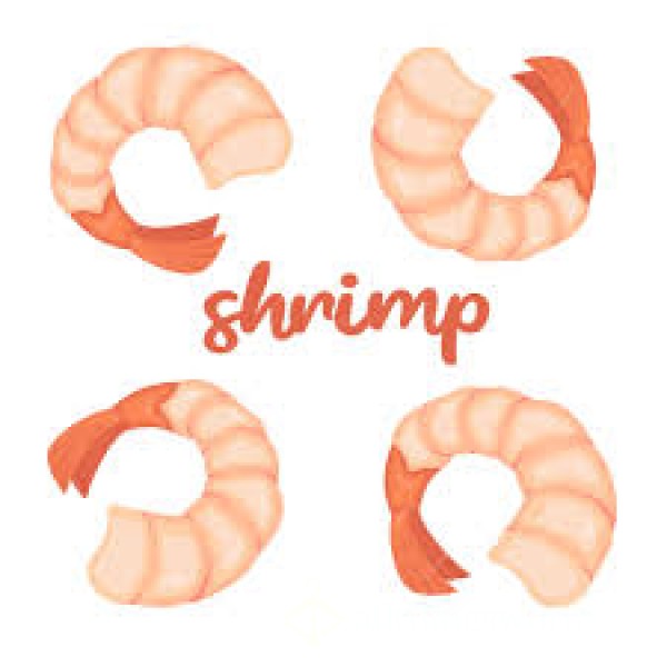 Baby Shrimp D*ck Humiliation