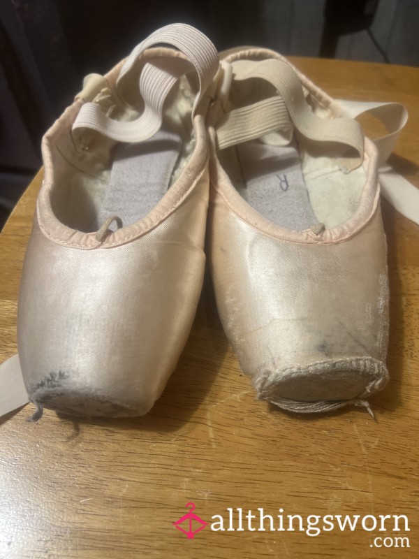 Ballet Shoes Flats Well Worn Comes With Seven Day Wear