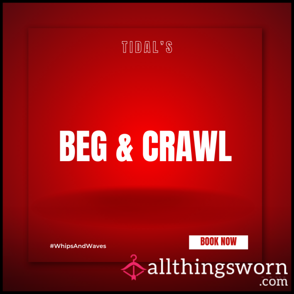 Beg & Crawl: The Ultimate Degradation Session