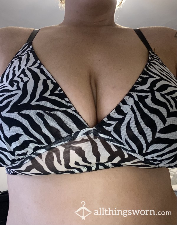 Big Titty Bra 🦓🦓🦓