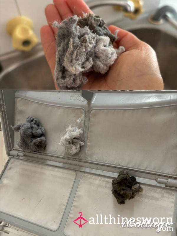 {Bin Needed 🗑️} Dryer Lint For You