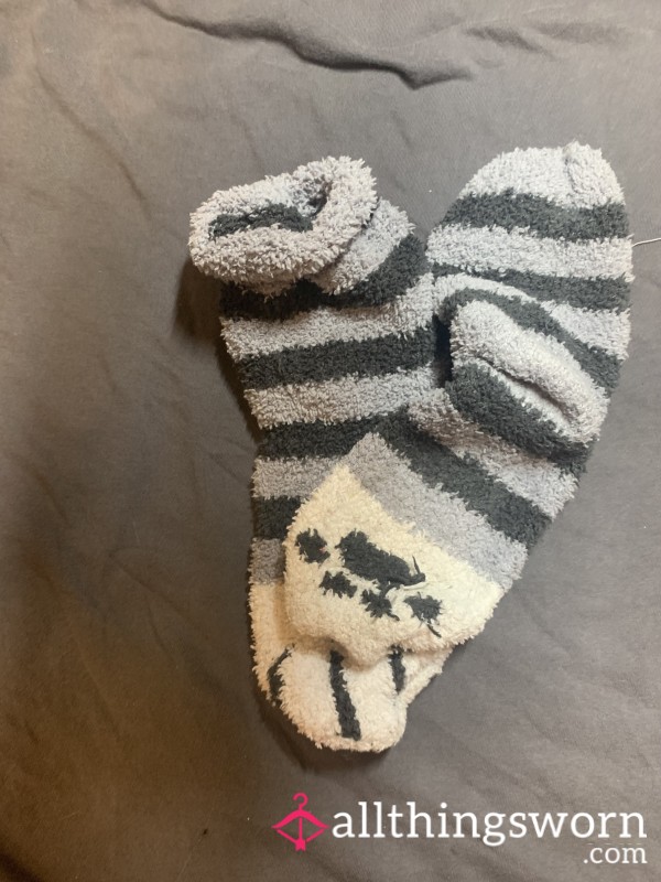 Black And Grey Cat Socks