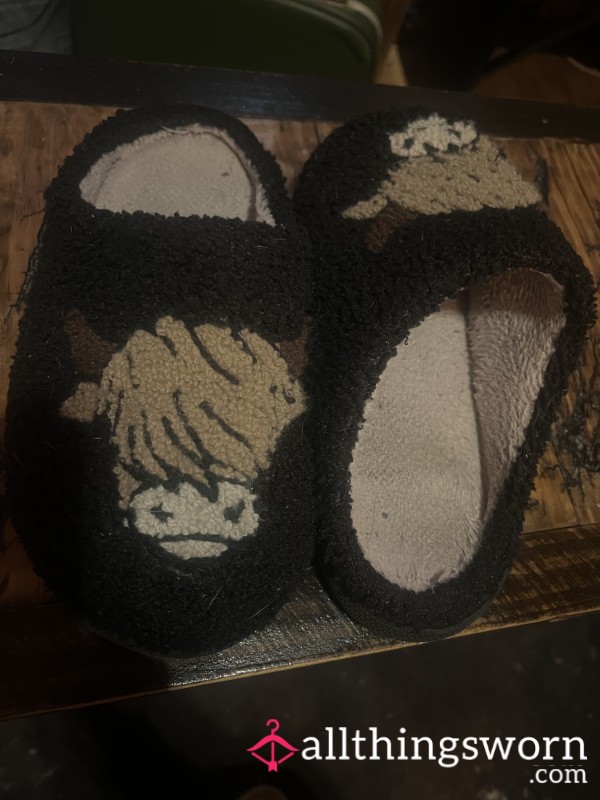 Black Slippers