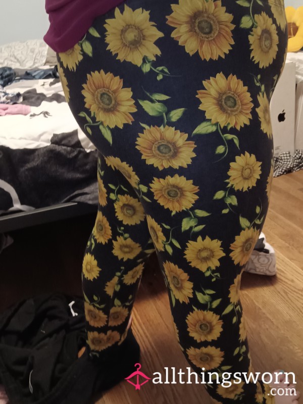 Black & Yellow Flor*l Sunflower Cotton Leggings Size- XXL