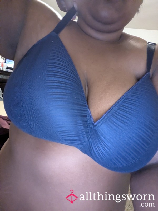 Blue Daily Bra