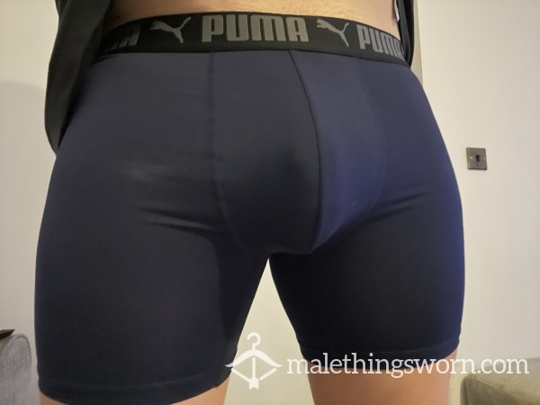 Blue Puma Boxer