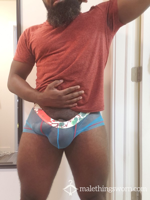 Light Blue Sheer Trunk