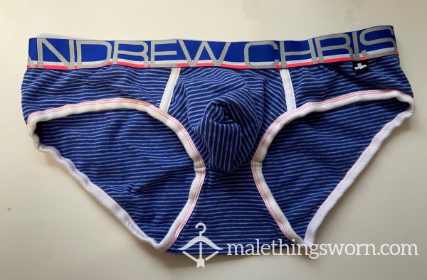 Blue Striped Briefs Size XL (35-38 In / 89-96 Cm)