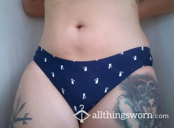 Blue With Swans Print Panties🦢