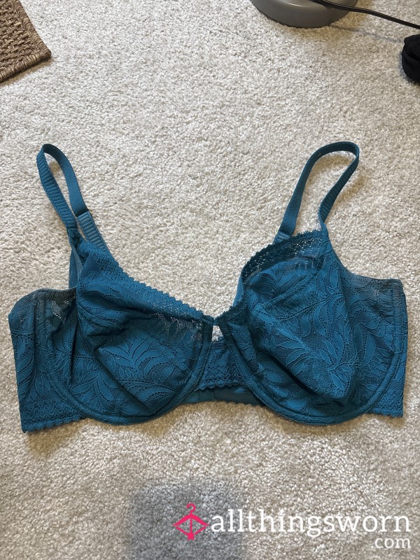 Blue Worn 38E Bra