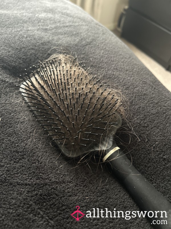 Brush Full Of Hair