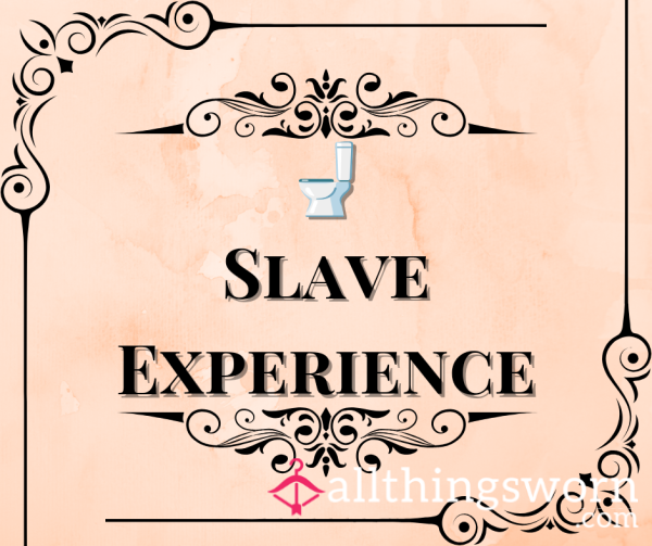 Slave Experience