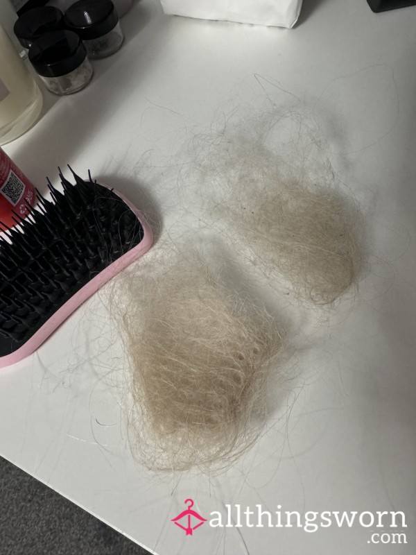 Bundle Of Hair From 2 Brushes