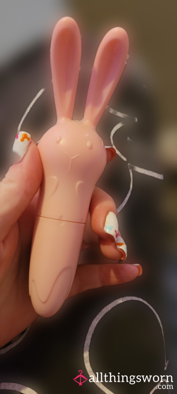 Bunny Rabbit Vibrator