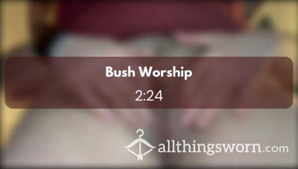 Bush Worship - 010