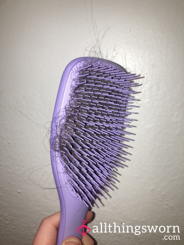 Buy The Hair Off Of Alpha And I’s Shared Brush