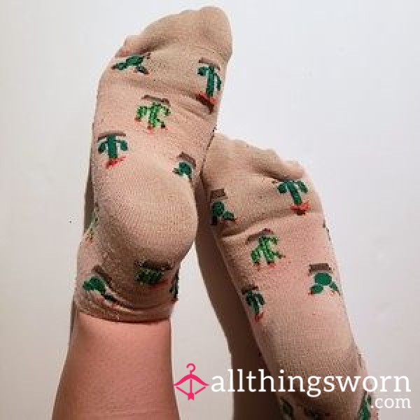 Cactus Socks🌵