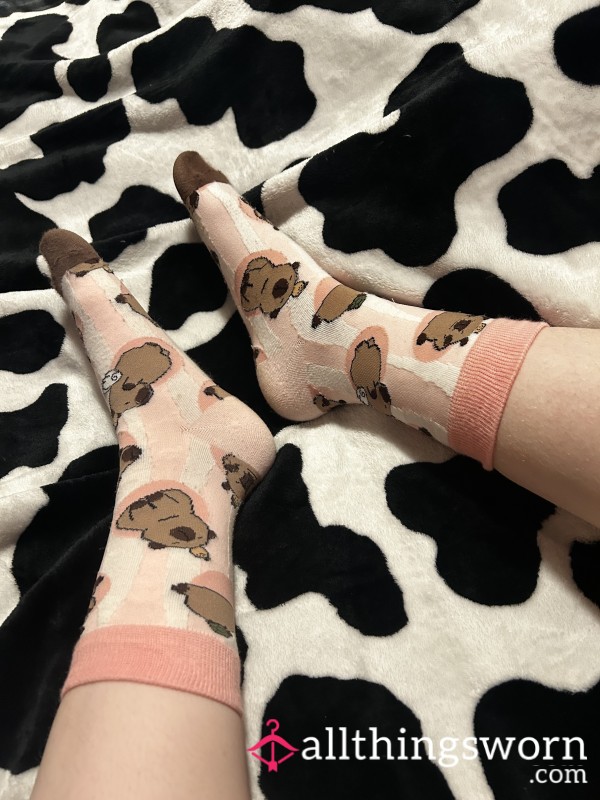 Capybara Socks 🧦 🩷