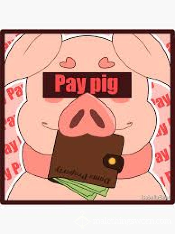 Cash Pig