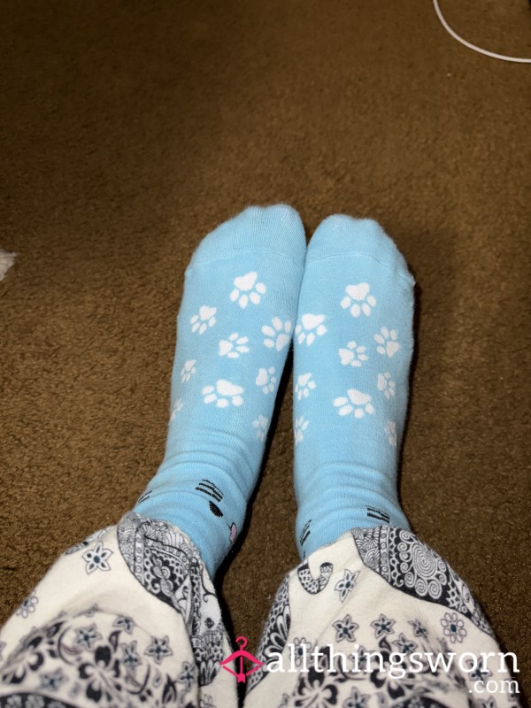 Cat Socks