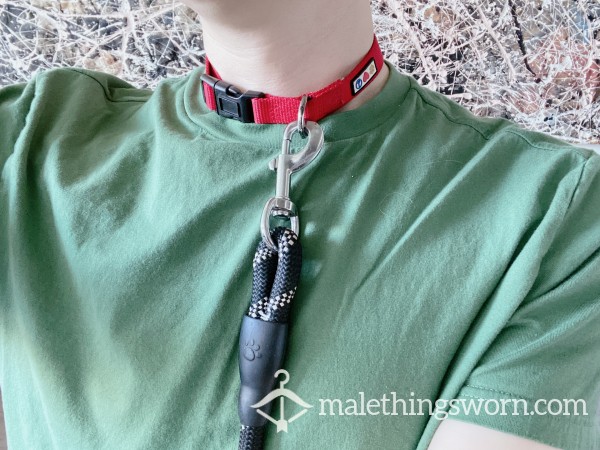 Charlie's Used Naughty Boy's Dog Leash