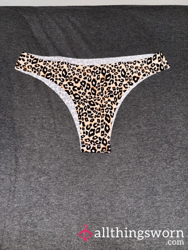 Cheetah Cheeky 2