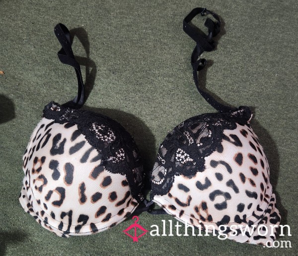 Cheetah Print VS Bombshell Bra