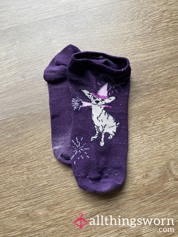 Chihuahua Party Socks