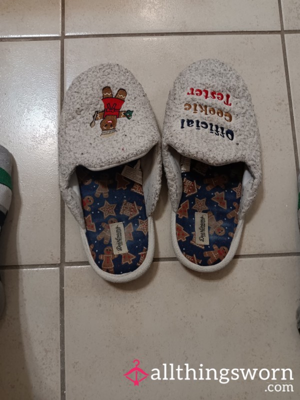 Christmas Slippers