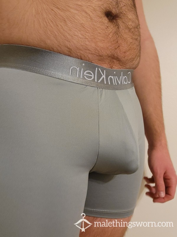 Clavin Klein Boxer Brief - Gray (L)