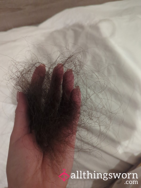 Clump Of Hair From My Hairbrush